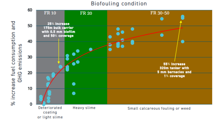 everclean_biofouling_condition