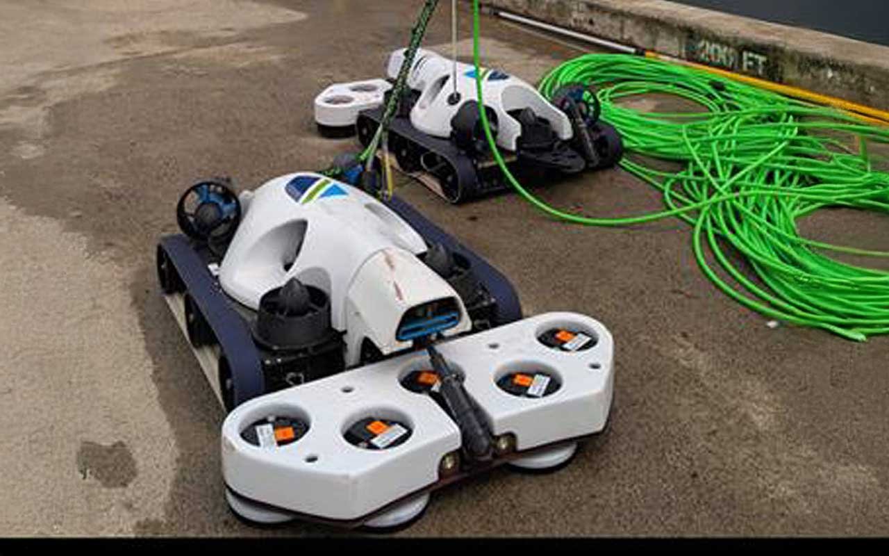 everclean_demo_navy_crop